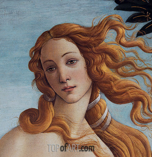 500x515 Venus Head - Botticelli Venus Painting