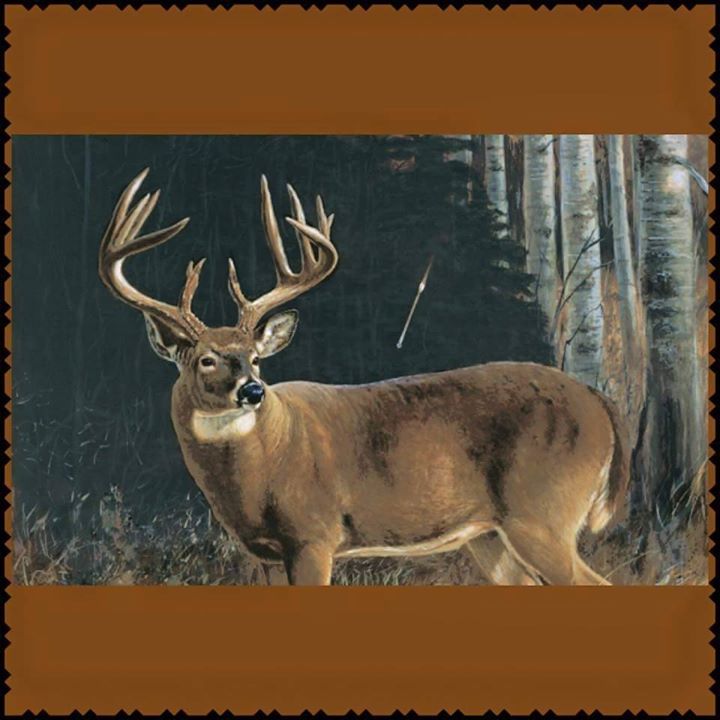 720x720 673 Best Wildlife Paintings Images On Wildlife - Bow Hunting Painting