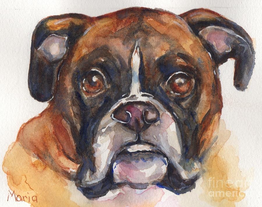 900x710 Boxer Dog Watercolor Painting By Maria's Watercolor - Boxer Dog Painting