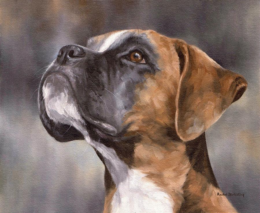 900x739 Boxer Painting Painting By Rachel Stribbling - Boxer Dog Painting