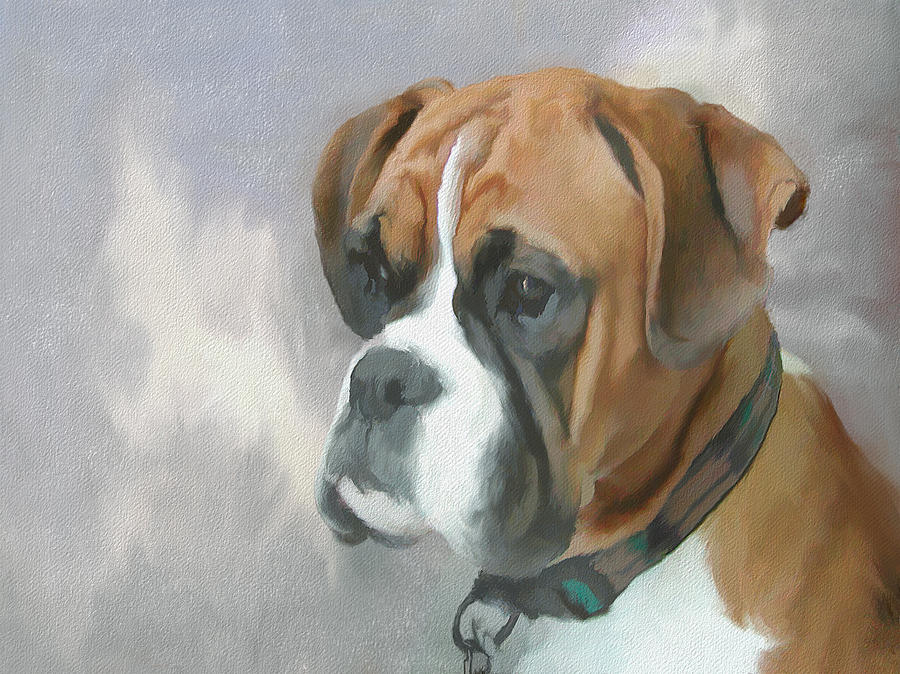 900x674 Boxer Painting By Jg Keevil - Boxer Dog Painting