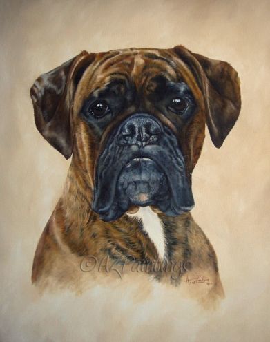 391x495 Boxer Head Study - Boxer Dog Painting