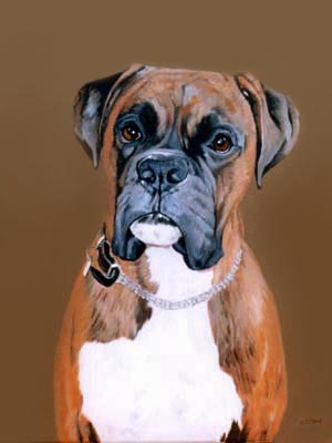 300x400 Dog Portraits - Boxer Dog Painting