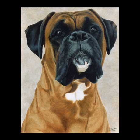 460x460 Dog Portraits Page 1 Oil Paint On Canvas - Boxer Dog Painting