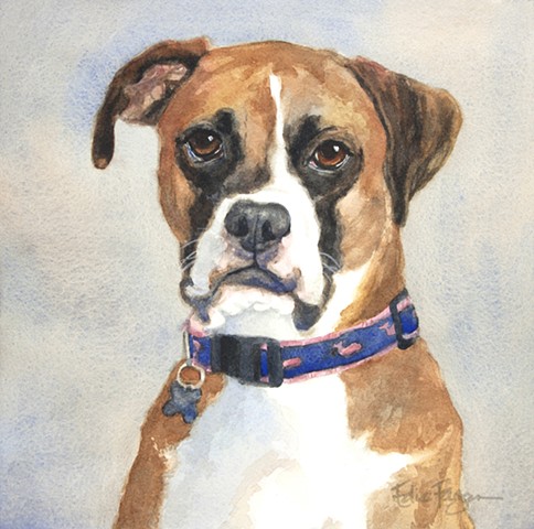 484x480 Edie Fagan - Boxer Dog Painting