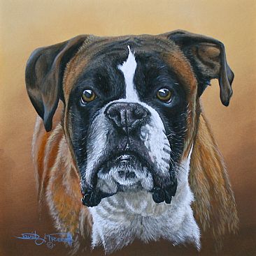 366x367 Boxer Dog - Boxer Dog Painting