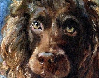 340x270 Boykin Spaniel Art Etsy - Boykin Spaniel Painting