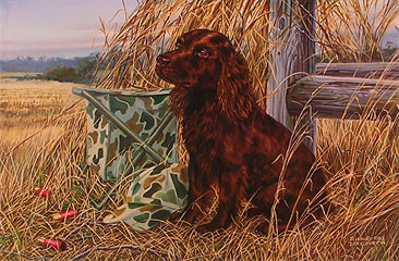 366x240 Limited Edition Dog Prints By Artist Randy Mcgovern - Boykin Spaniel Painting