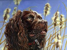 236x178 Print Boykin Spaniel Dog Face Art Print Of Oil Painting Gift - Boykin Spaniel Painting