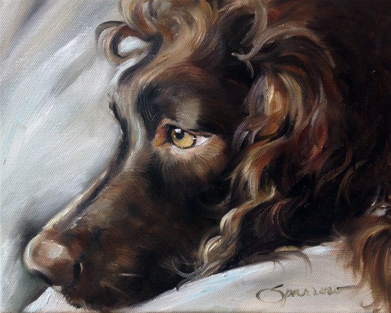 570x456 Print Boykin Spaniel Dog Face Art Print Of Oil Painting Gift - Boykin Spaniel Painting