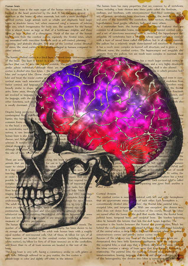 636x900 Human Brain Painting By Diana Van - Brain Painting