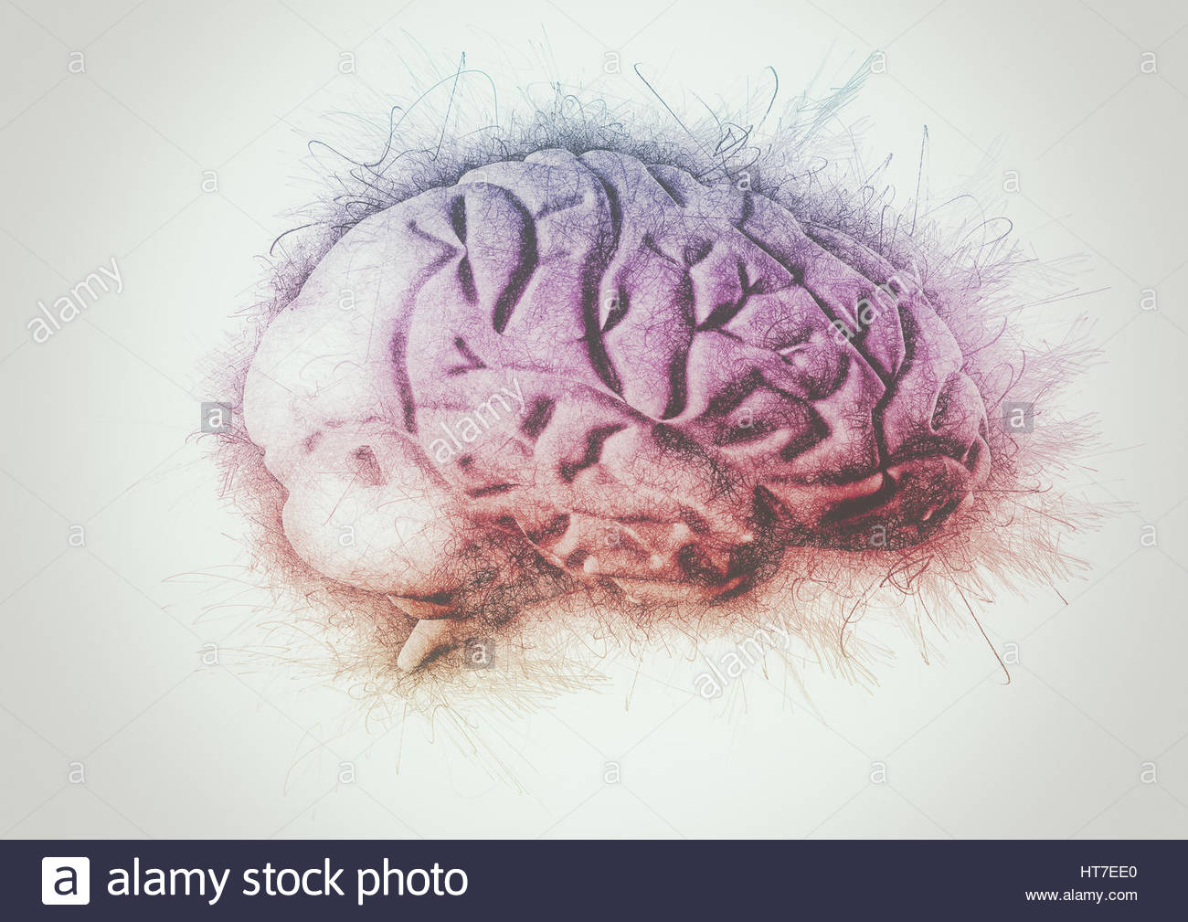 1300x1009 Abstract Painting Af A Brain Colorful Lines Stock Photo 135389352 - Brain Painting