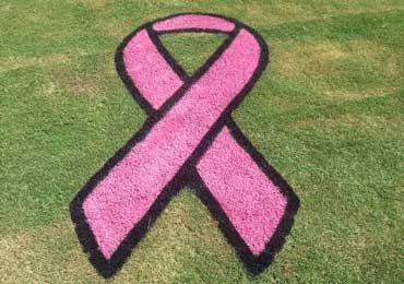 370x260 Breast Cancer Awareness Ribbon - Breast Cancer Ribbon Painting