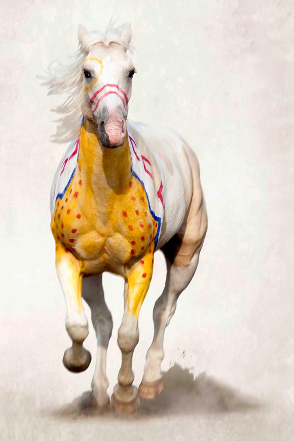 580x870 Breyer Visits The National Museum Of The American Indian - Breyer Horse Painting