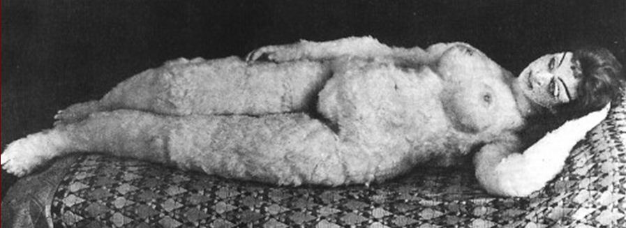 897x327 Gustav Mahler (1860 1911) - Bride Of The Wind Painting