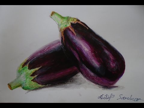 480x360 How To Draw , Realistic Brinjal - Brinjal Painting