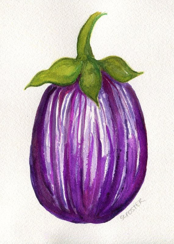 570x799 Striped Purple Eggplant Painting Watercolor By Sharonfosterart - Brinjal Painting