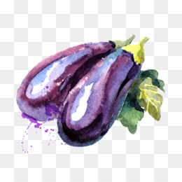 260x260 Vegetable Watercolor Painting Eggplant - Brinjal Painting