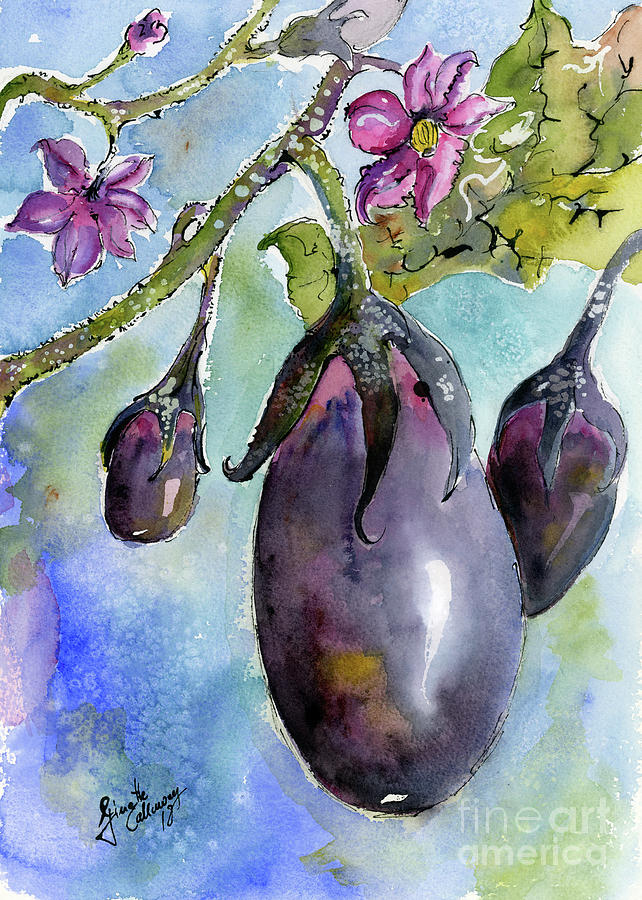 642x900 Eggplant And Blossoms Food Art Watercolors Painting By Ginette - Brinjal Painting