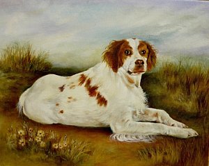 300x239 Brittany Spaniel Paintings Fine Art America - Brittany Spaniel Painting