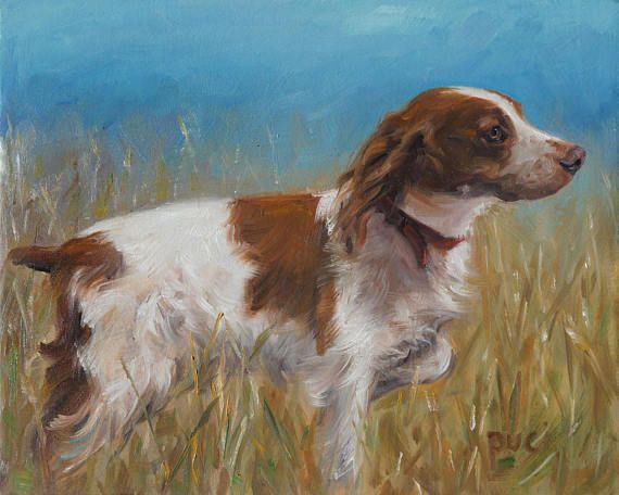 570x456 Brittany Spaniel Pointstheway Custom Pet Portrait Oil Art - Brittany Spaniel Painting