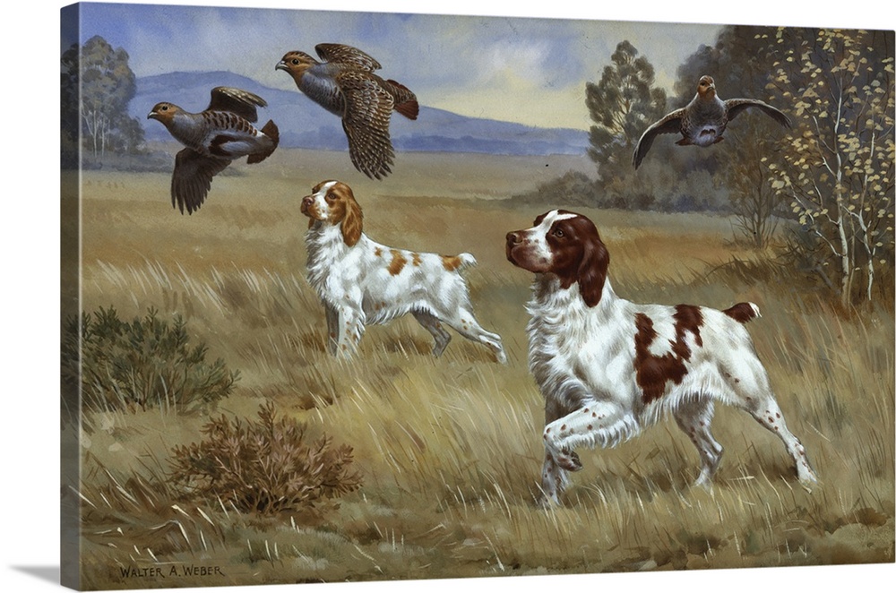 1000x662 Brittany Spaniels Flush Three Birds From Cover In A Meadow Wall - Brittany Spaniel Painting