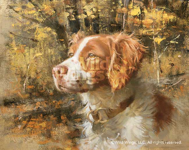 650x518 Buck Brittany Spaniel Limited Edition Print Wild Wings - Brittany Spaniel Painting