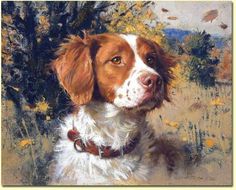 236x190 Linda Picken Art Studio Brittany And Pheasant In Snow Linda - Brittany Spaniel Painting