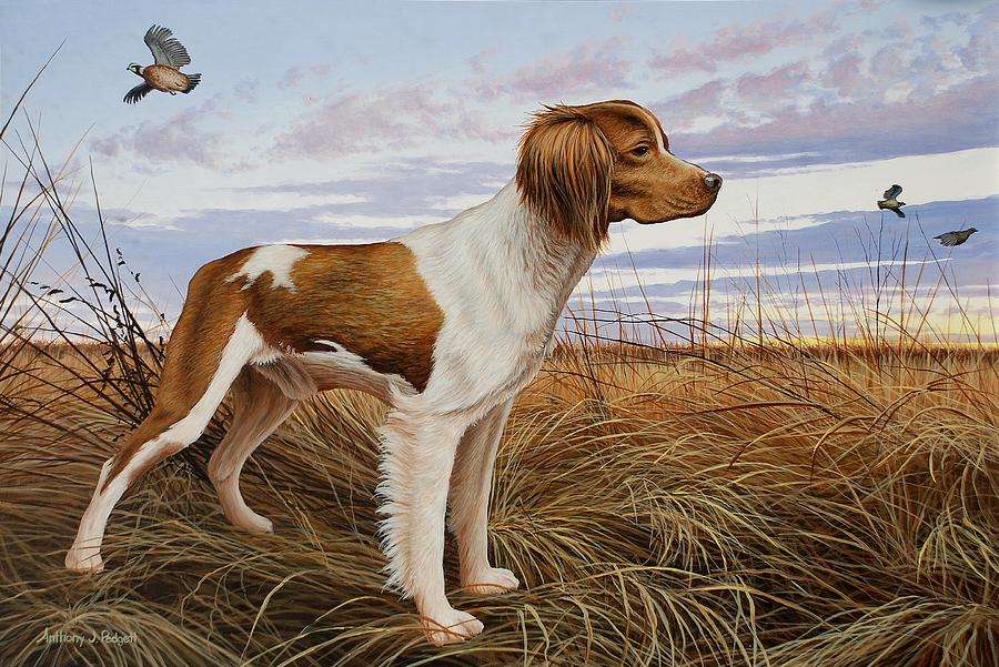 900x601 On Watch - Brittany Spaniel Painting