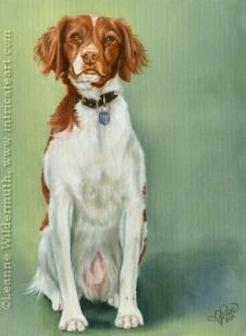 226x308 Custom Dog Art Oil Painting Ellie Brittany Spaniel Pet Art - Brittany Spaniel Painting