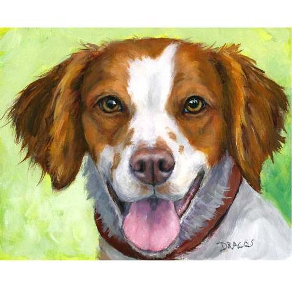 570x570 Brittany Spaniel Dog Art Print Painting By Dottie Dracos - Brittany Spaniel Painting