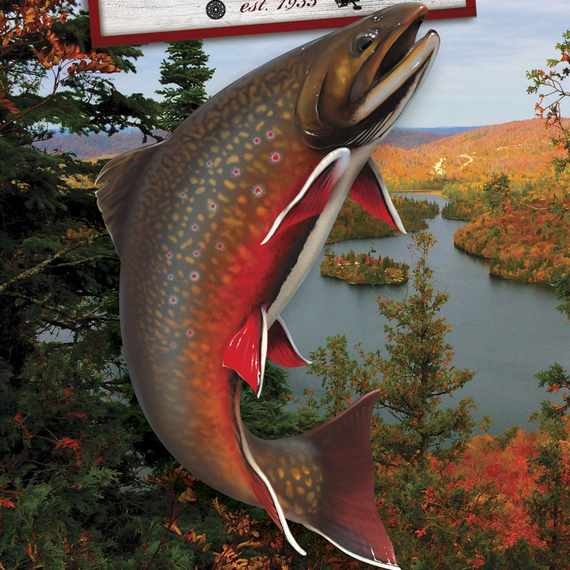 Brook Trout Painting At PaintingValley.com | Explore Collection Of ...