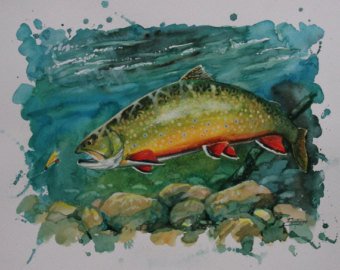 340x270 Brook Trout Painting Etsy - Brook Trout Painting