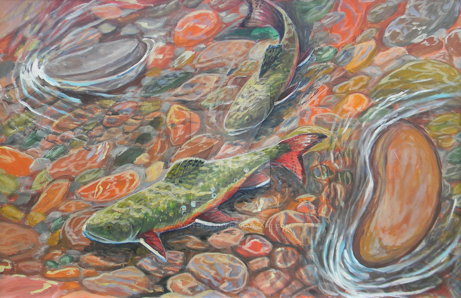 900x581 Brook Trout Stream By Jupiterjenny - Brook Trout Painting