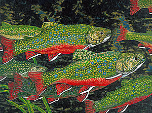 300x223 Trout Art Brook Trout Fish Artwork Giclee Wildlife Underwater - Brook Trout Painting