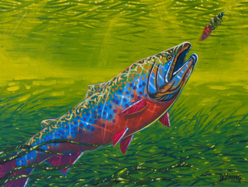 796x600 Brook Trout Derek Deyoung - Brook Trout Painting