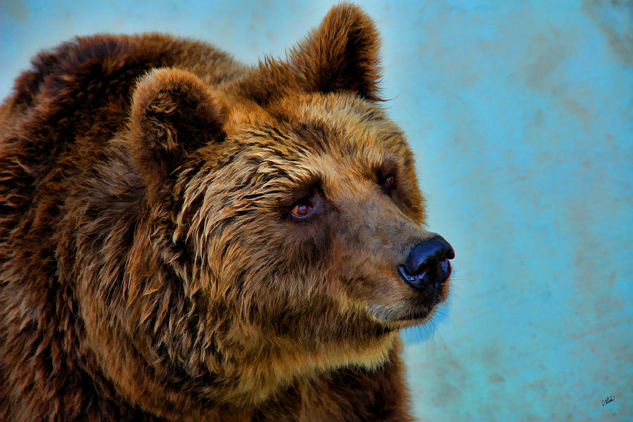 900x600 Brown Bear 203 Painting By Dean Wittle - Brown Bear Painting