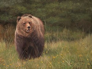300x224 Brown Bear Paintings Fine Art America - Brown Bear Painting