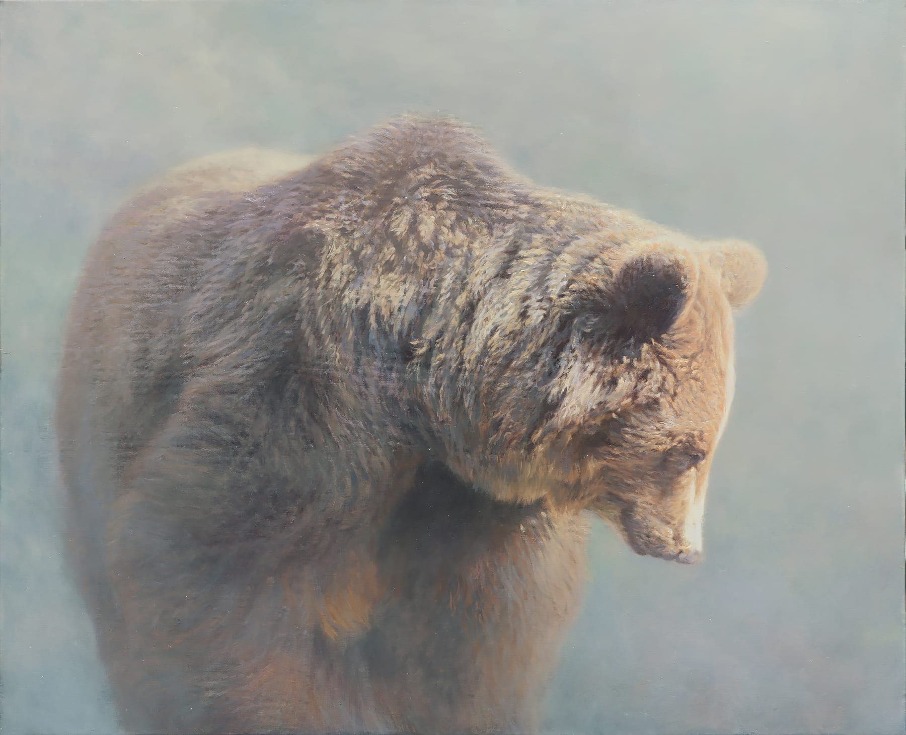 1800x1461 Brown Bear Painting In The Fog Brown Bear ( Ursus Arctos - Brown Bear Painting