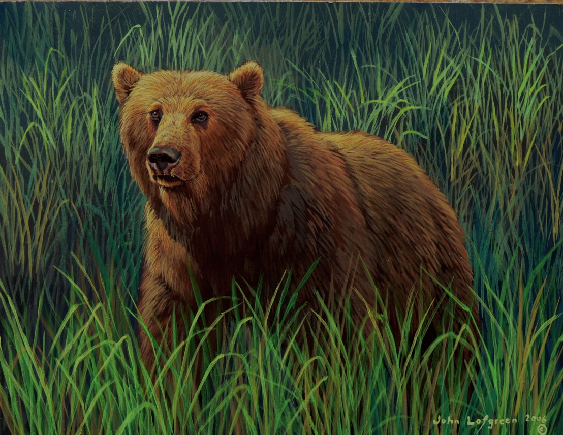 1108x856 The Show And Tell Nature Blog Evolution Of The Brown Bear - Brown Bear Painting