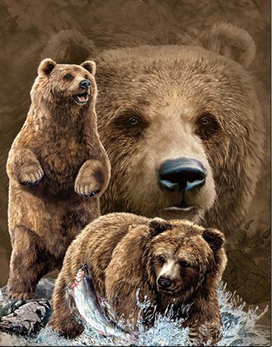 392x500 Xu's Home Decor - Brown Bear Painting