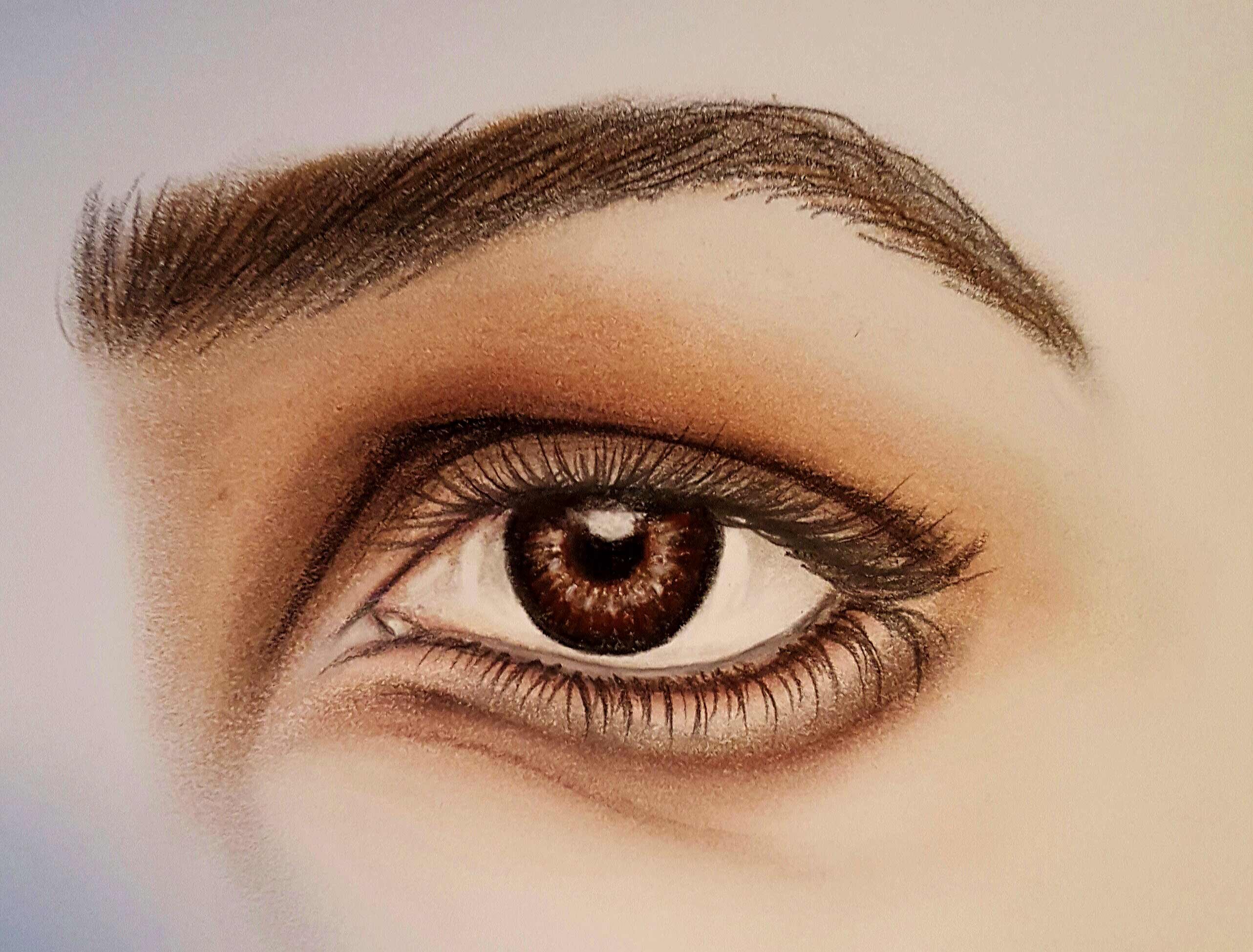 2565x1949 Drawing Painting Demonstration Realistic Eye Pastel Close Up.brown - Brown Eye Painting