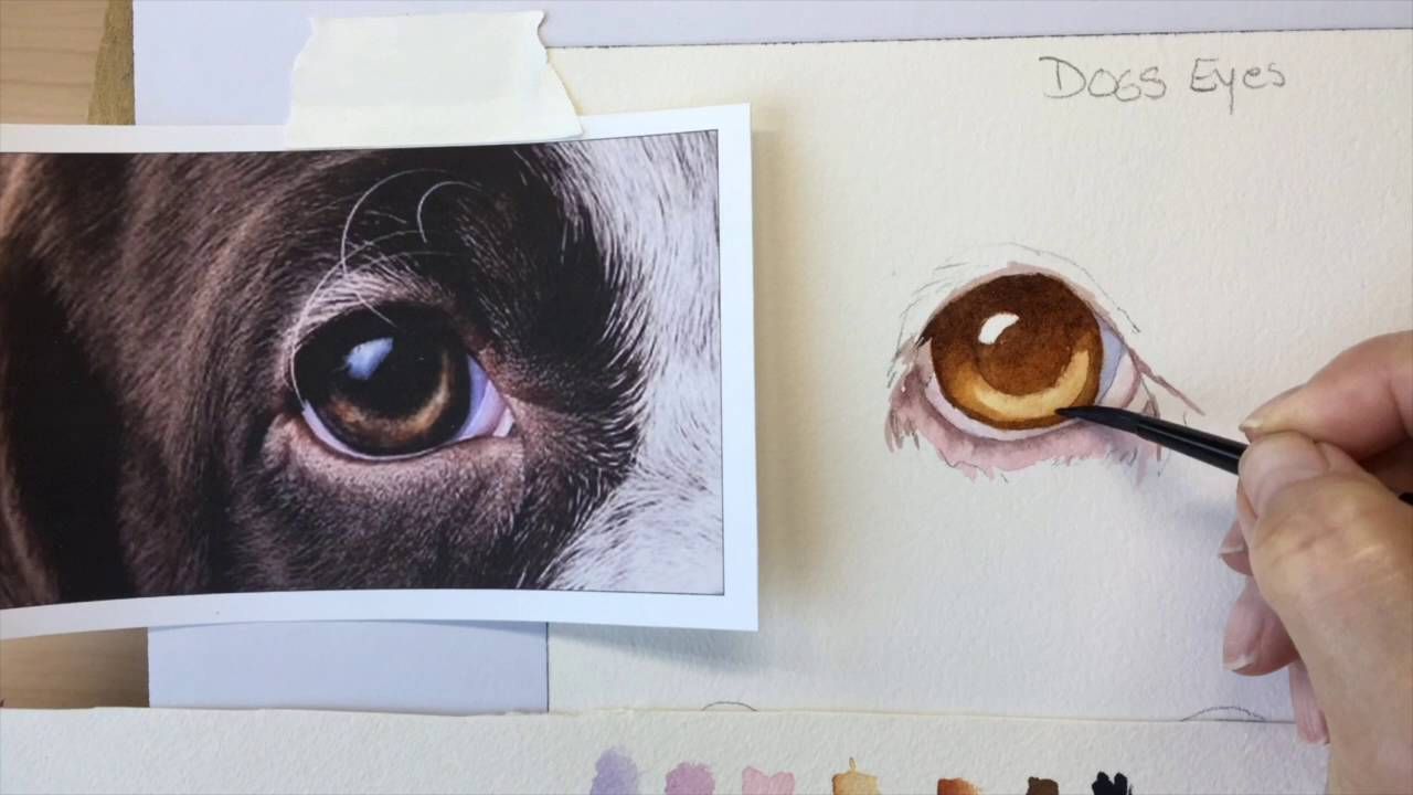 1280x720 How To Paint A Dog's Brown Eye - Brown Eye Painting