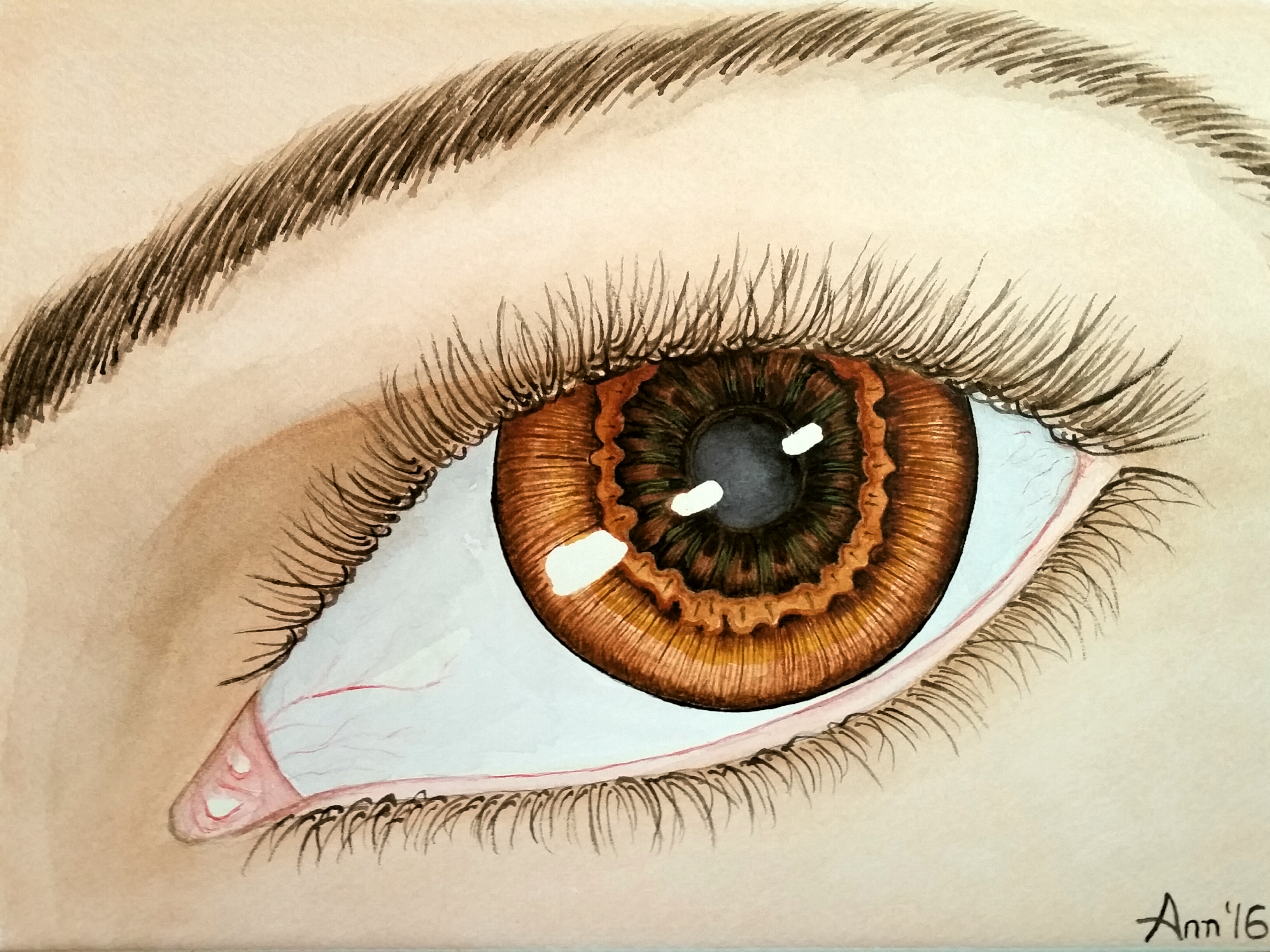 3265x2449 Painting Eyeballs Ann Christy Navy Commander By Day, Secret - Brown Eye Painting
