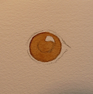 298x300 Painting Eyes Step By Step Watercolor - Brown Eye Painting