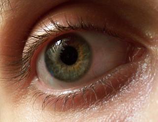 321x247 Painting Realistic Eyes And Skin Tones - Brown Eye Painting