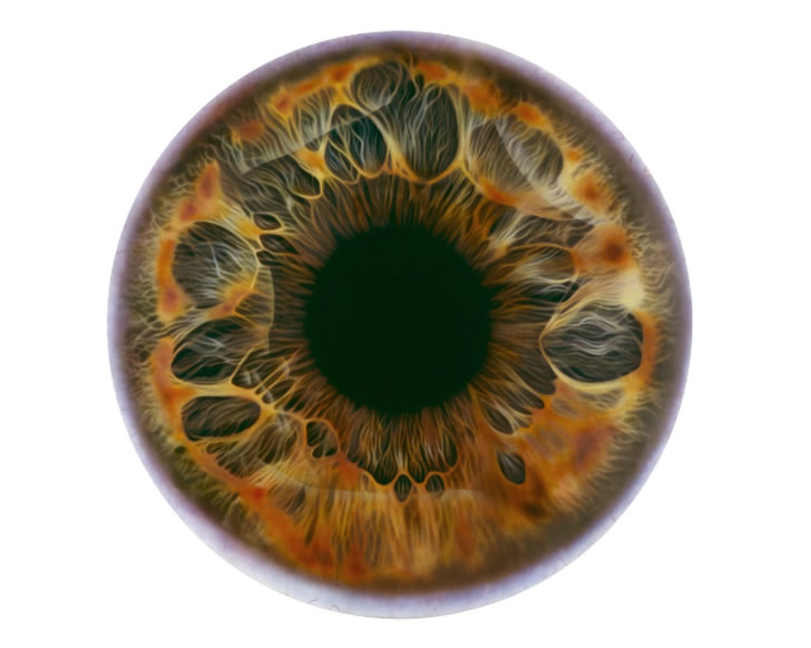 728x582 What Color Is Your Iris Scene360 - Brown Eye Painting