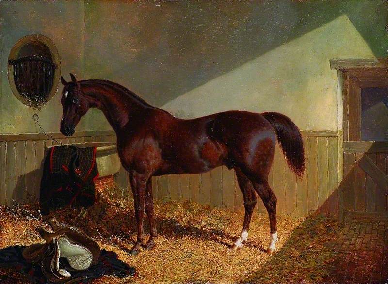 800x586 Brown Horse In A Stable Art Uk - Brown Horse Painting