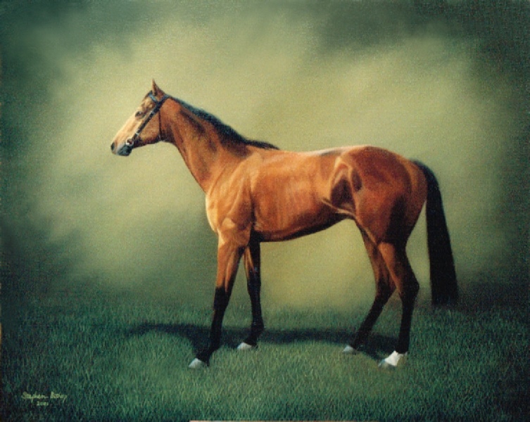 753x600 Home - Brown Horse Painting