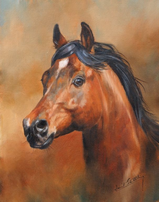 606x770 500 Best Art Images On Beautiful Images, Horses And Paint - Brown Horse Painting